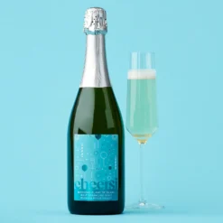 Birthday Sparkling Wine & Savory Snack Collection -HICKORY FARMS Sales cheersi birthday brut sparkling wine 003628 2
